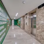 Ibos